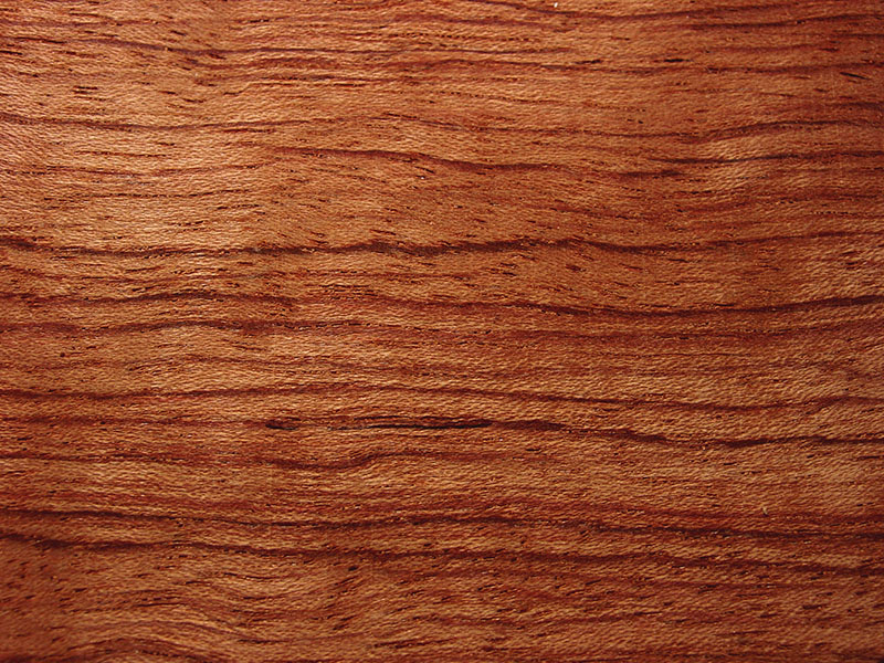 textura14